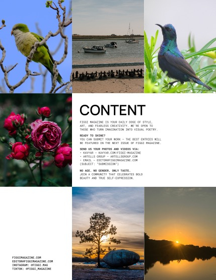 FIGGI MAGAZINE - NATURE & TRAVEL SEPTEMBER (Vol 2284), page 2