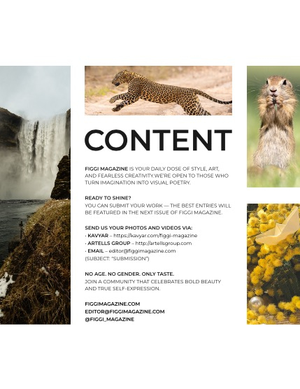 FIGGI MAGAZINE - NATURE & TRAVEL MAY (Vol 1538), page 3