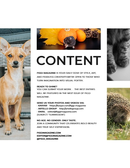 FIGGI MAGAZINE - LOVELY PETS NOVEMBER (Vol 1878), page 3