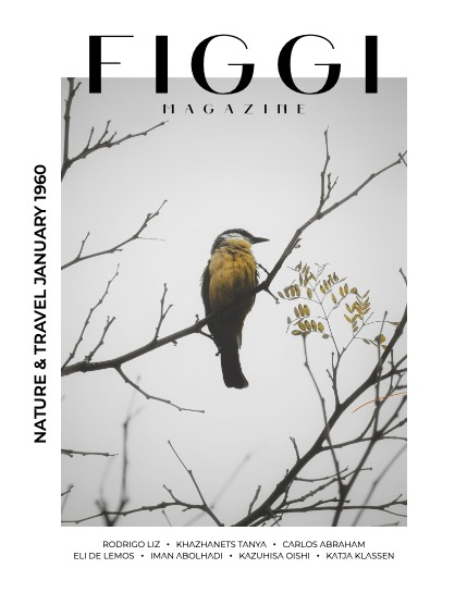 FIGGI MAGAZINE - NATURE & TRAVEL JANUARY (Vol 1960), page 1