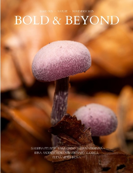Bold & Beyond Nature (Issue 605 November 2025), page 1