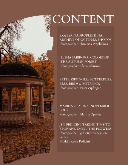 Bold & Beyond Nature (Issue 613 November 2025), page 2