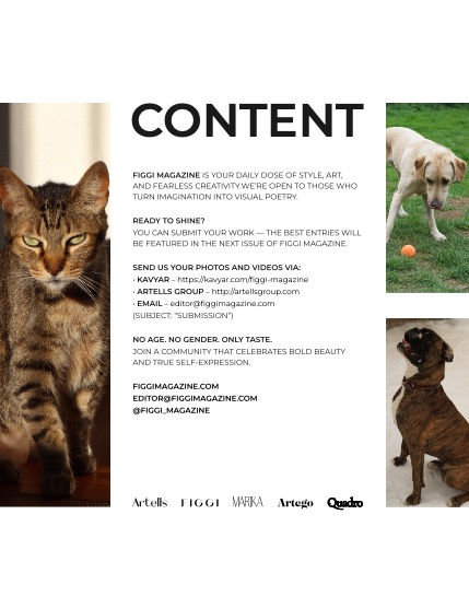 FIGGI MAGAZINE - LOVELY PETS MARCH (Vol 2041), page 3