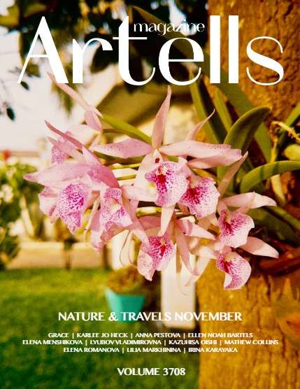 ARTELLS MAGAZINE - NATURE & ANIMALS NOVEMBER (Vol 3708), page 1
