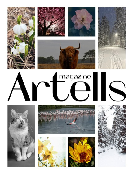ARTELLS MAGAZINE - NATURE & TRAVELS APRIL (Vol 3986), page 2