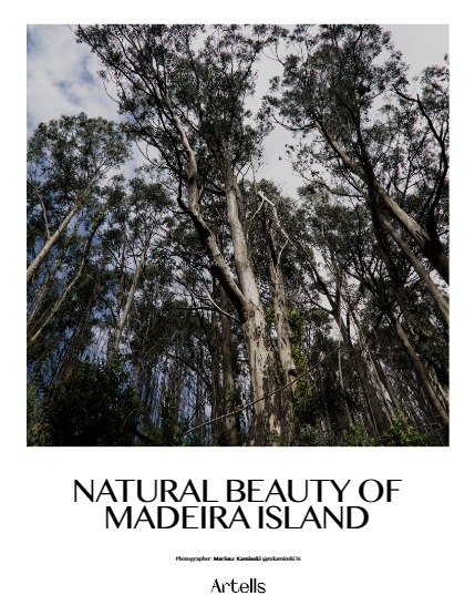 ARTELLS MAGAZINE - NATURE & TRAVELS MAY (Vol 3173), page 4