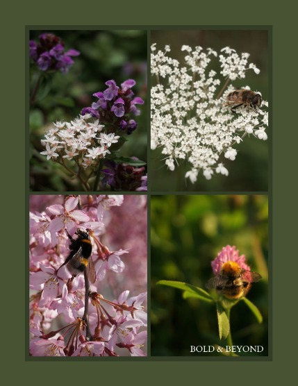 Bold & Beyond Nature (Issue 577 October 2025), page 3