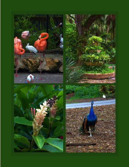 Bold & Beyond Nature (Issue 603 November 2025), page 3