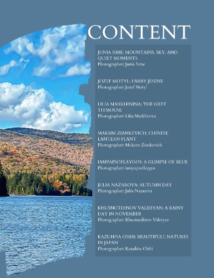 Bold & Beyond Nature (Issue 632 November 2025), page 2