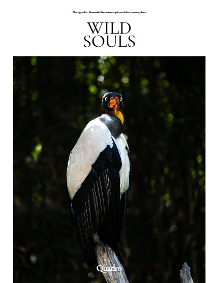 QUADRO MAGAZINE - NATURE & TRAVEL JUNE (Vol 1628), page 4