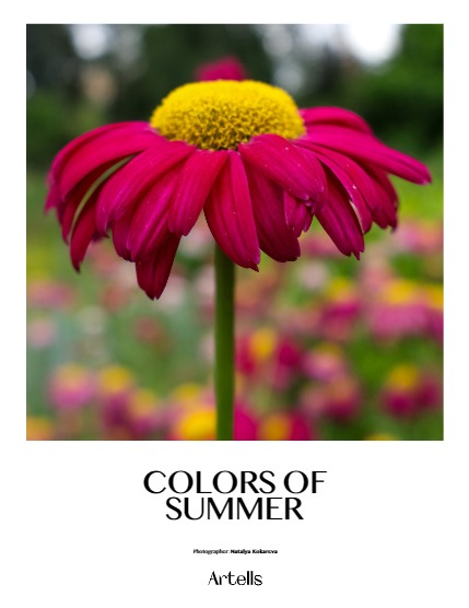 ARTELLS MAGAZINE - NATURE & TRAVELS JULY (Vol 3370), page 4