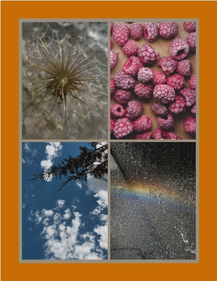 Bold & Beyond Nature (Issue 495 August 2025), page 3