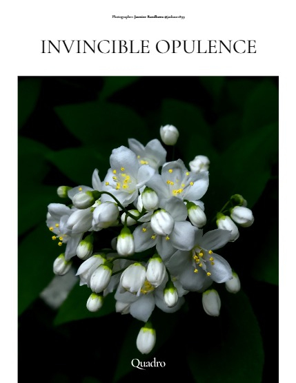 QUADRO MAGAZINE - NATURE & ANIMALS NOVEMBER (Vol 1343), page 4