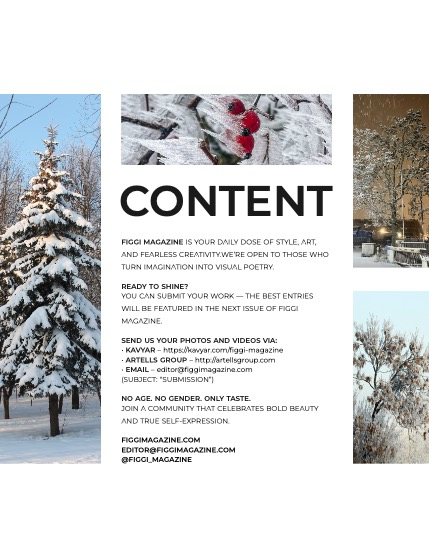 FIGGI MAGAZINE - NATURE & TRAVEL FEBRUARY (Vol 1990), page 3