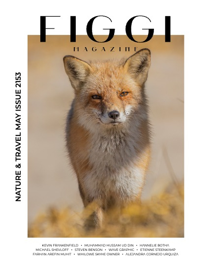 FIGGI MAGAZINE - NATURE & TRAVEL MAY (Vol 2153), page 1
