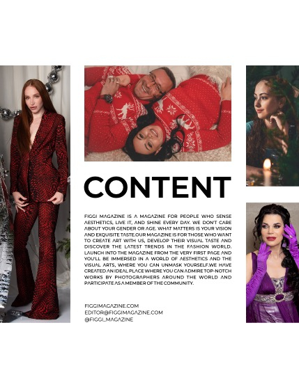 FIGGI MAGAZINE - CHRISTMAS JANUARY (Vol 1336), page 3