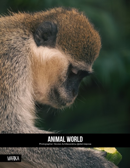 MARIKA MAGAZINE NATURE & TRAVELS (ISSUE 6023 - NOVEMBER), page 4