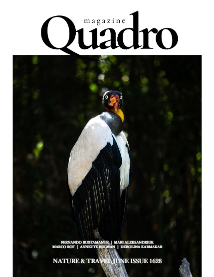 QUADRO MAGAZINE - NATURE & TRAVEL JUNE (Vol 1628), page 1