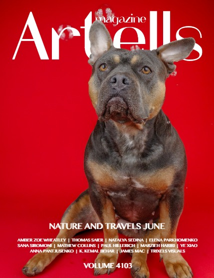 ARTELLS MAGAZINE - NATURE & TRAVELS JUNE (Vol 4103), page 1