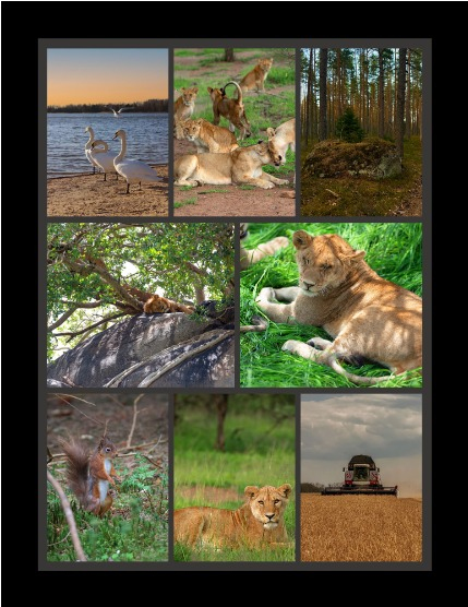 Bold & Beyond Nature (Issue 317 May 2025) , page 3